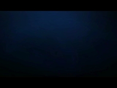 305mm チタン合金ブレード ポータブル超音波カッター (チーズ用)